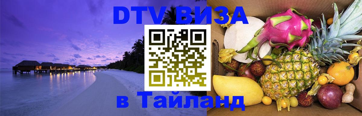 Сколько стоит DTV виза — актуальные цены, оформление даже без документов - Новокузнецк  07.12.2025 
